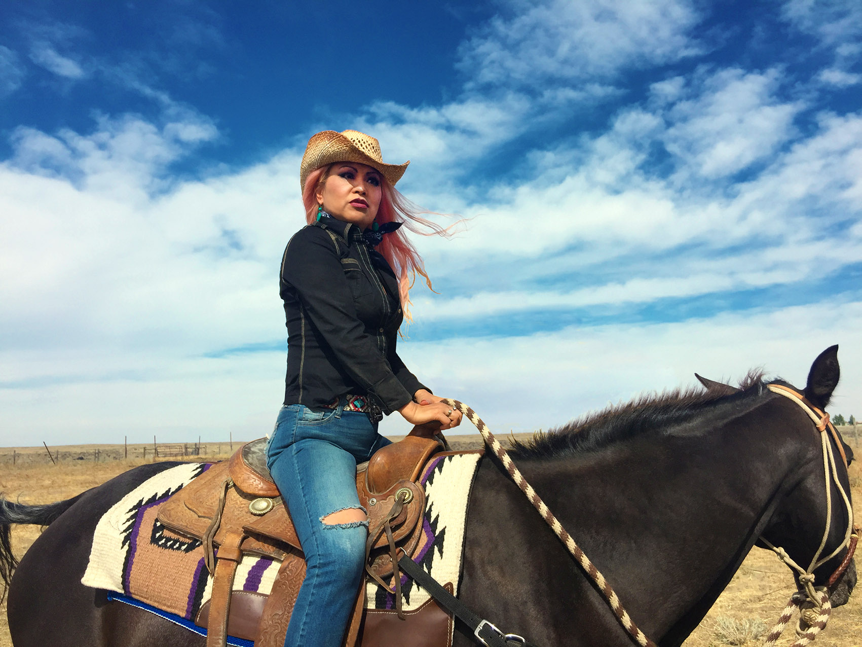 Horse-2018B_14781276px09