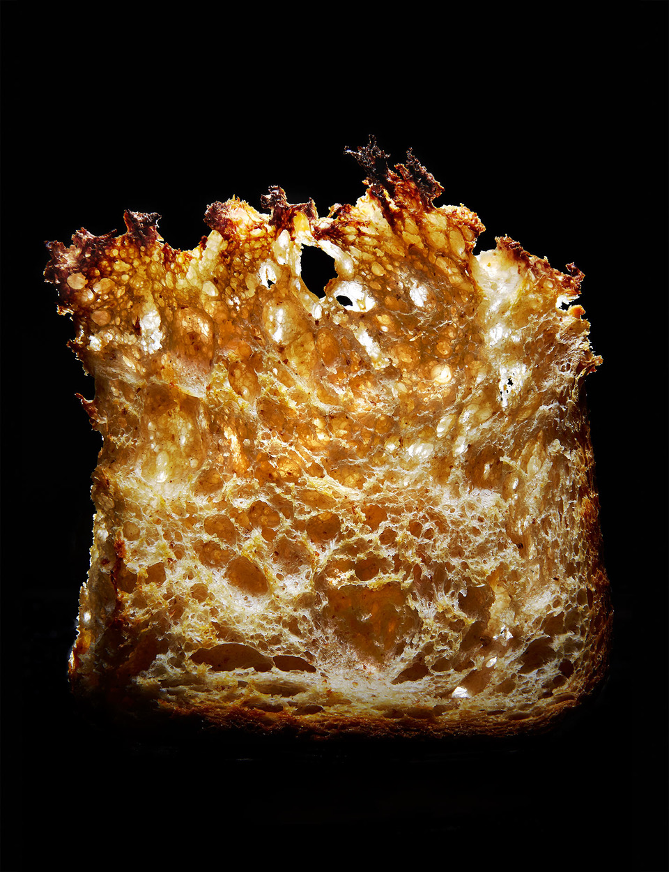 ToastDetail__2_2017_0862_FINAL