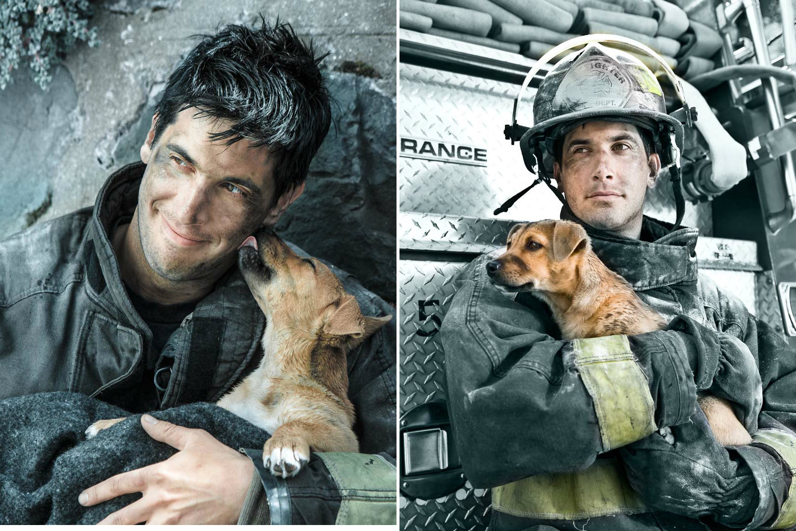 firedog.jpg
